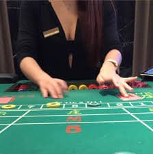 8844 bet
